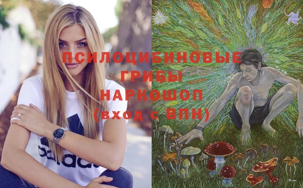 гидропоника Алексеевка