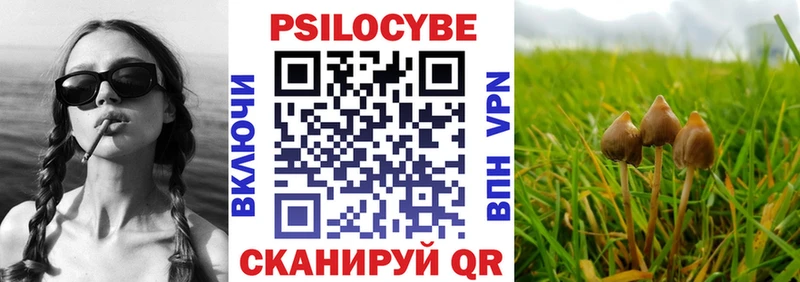 Галлюциногенные грибы Psilocybine cubensis  МЕГА ONION  Белокуриха 