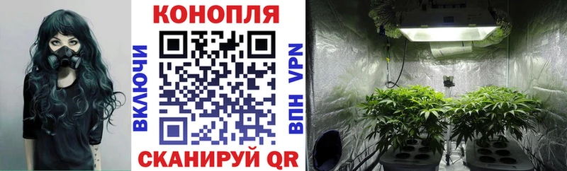 Марихуана THC 21%  Белокуриха 